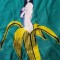 RiotCreations: Banana